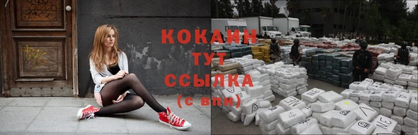 бошки Аркадак