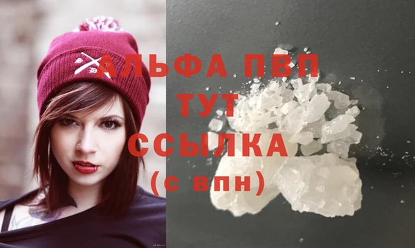 PSILOCYBIN Богородск