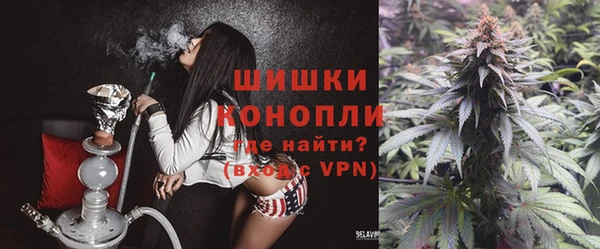 PSILOCYBIN Богородск
