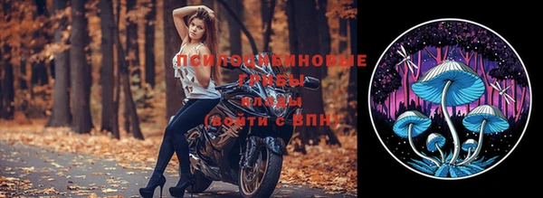 каннабис Богданович