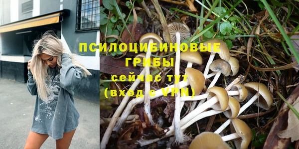 каннабис Богданович